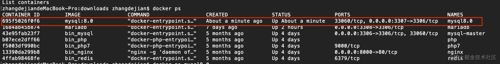 Docker安装Mysql8.0