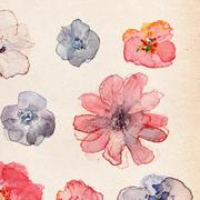 Lizzi的个人资料头像