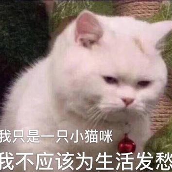 七宝酱于2020-01-02 20:08发布的图片