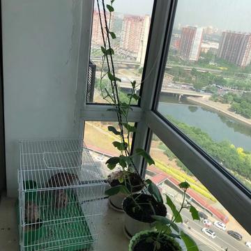 天天敲代码于2020-01-20 00:14发布的图片