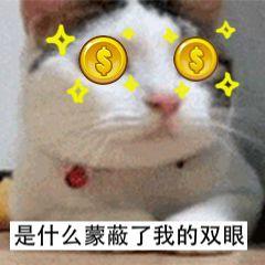 DogDogSuiSui于2020-01-20 13:54发布的图片