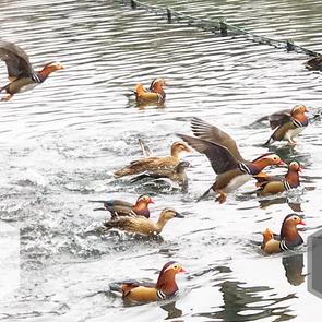 木了然于2020-01-20 14:05发布的图片