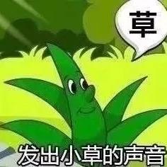 布拉德特皮于2020-01-20 17:17发布的图片