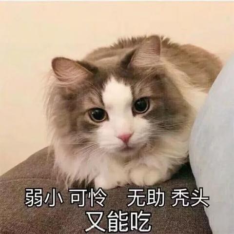 布拉德特皮于2020-01-20 17:17发布的图片