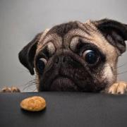 NotShy的个人资料头像