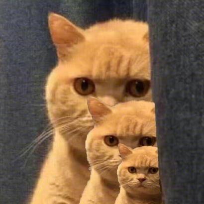 封号斗罗于2020-01-22 08:37发布的图片