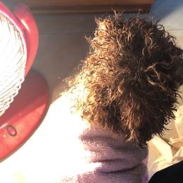 树洞robot于2020-01-22 20:59发布的图片