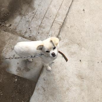 天天敲代码于2020-01-23 12:08发布的图片