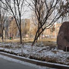 徐小夕于2020-01-24 12:42发布的图片