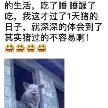 Natchi于2020-01-26 12:02发布的图片
