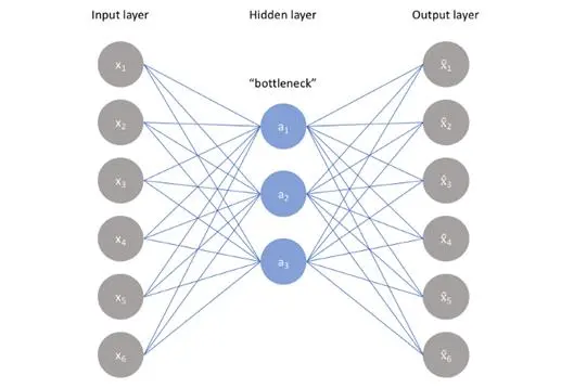 ​深度科普：神经网络的类型及其作用
