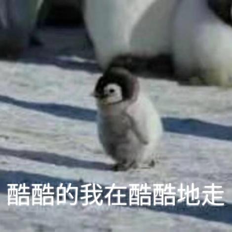 会跳舞的Recruiter于2020-01-03 20:25发布的图片