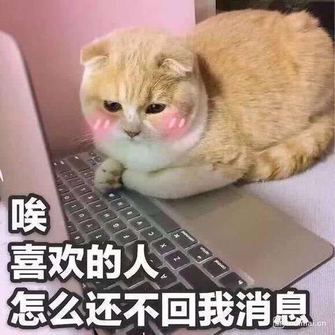 会跳舞的Recruiter于2020-01-03 20:25发布的图片