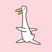 天空套的个人资料头像