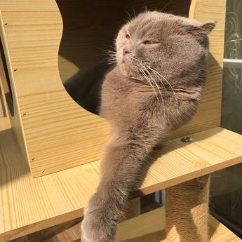 未知的未知于2020-01-31 11:17发布的图片