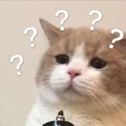 某渣粗的个人资料头像