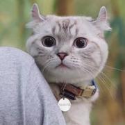 鱼梦的个人资料头像