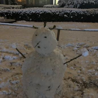 爱emo的叁叁于2020-01-06 00:02发布的图片