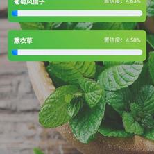 OnePsycho于2020-01-06 09:42发布的图片