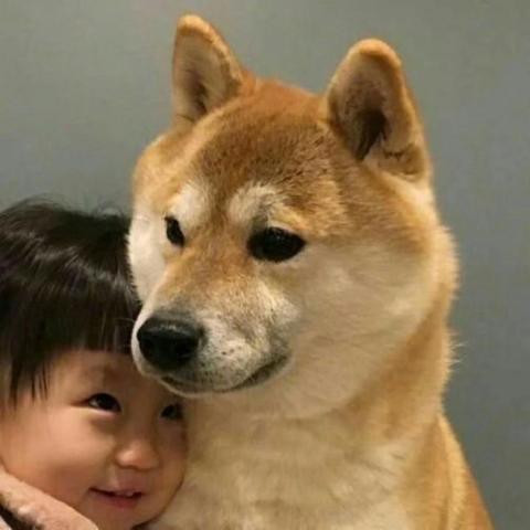 TangO82560于2020-01-06 22:34发布的图片