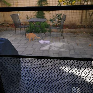 leishi1313于2020-01-08 04:59发布的图片