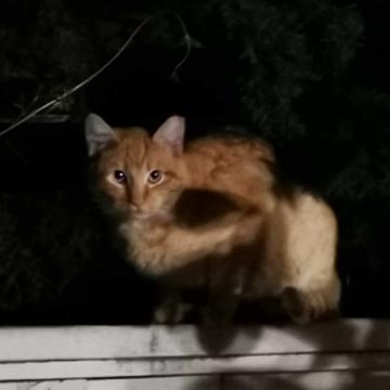 leishi1313于2020-01-08 04:59发布的图片