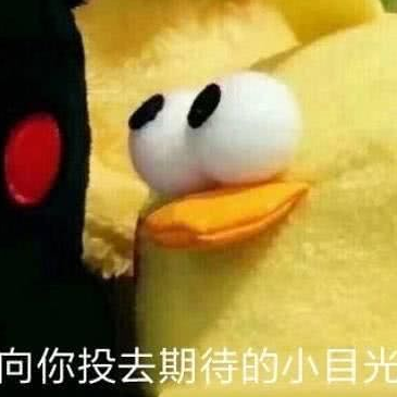 三月见桃花于2020-01-08 10:30发布的图片