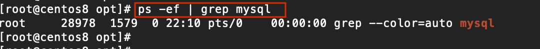 Centos8安装Mysql8.0(RPM)