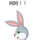 2019的“裁员潮”已经结束了吗?程序员们2020该何去何从?