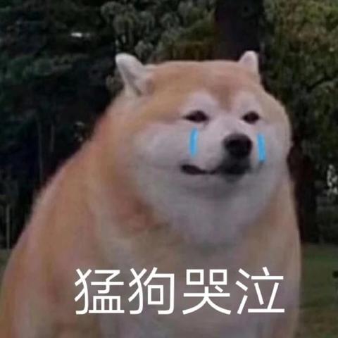 西瓜籽于2020-01-09 10:48发布的图片