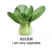 毛毛鸦的个人资料头像