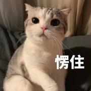 木火的个人资料头像