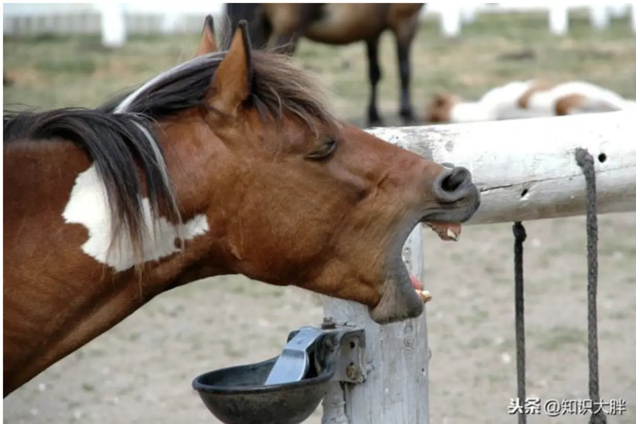 穿越后你会说些什么