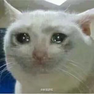 S0ME0NE于2020-02-11 03:30发布的图片