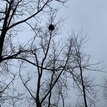 摸鱼大王脑残片于2020-02-11 09:21发布的图片