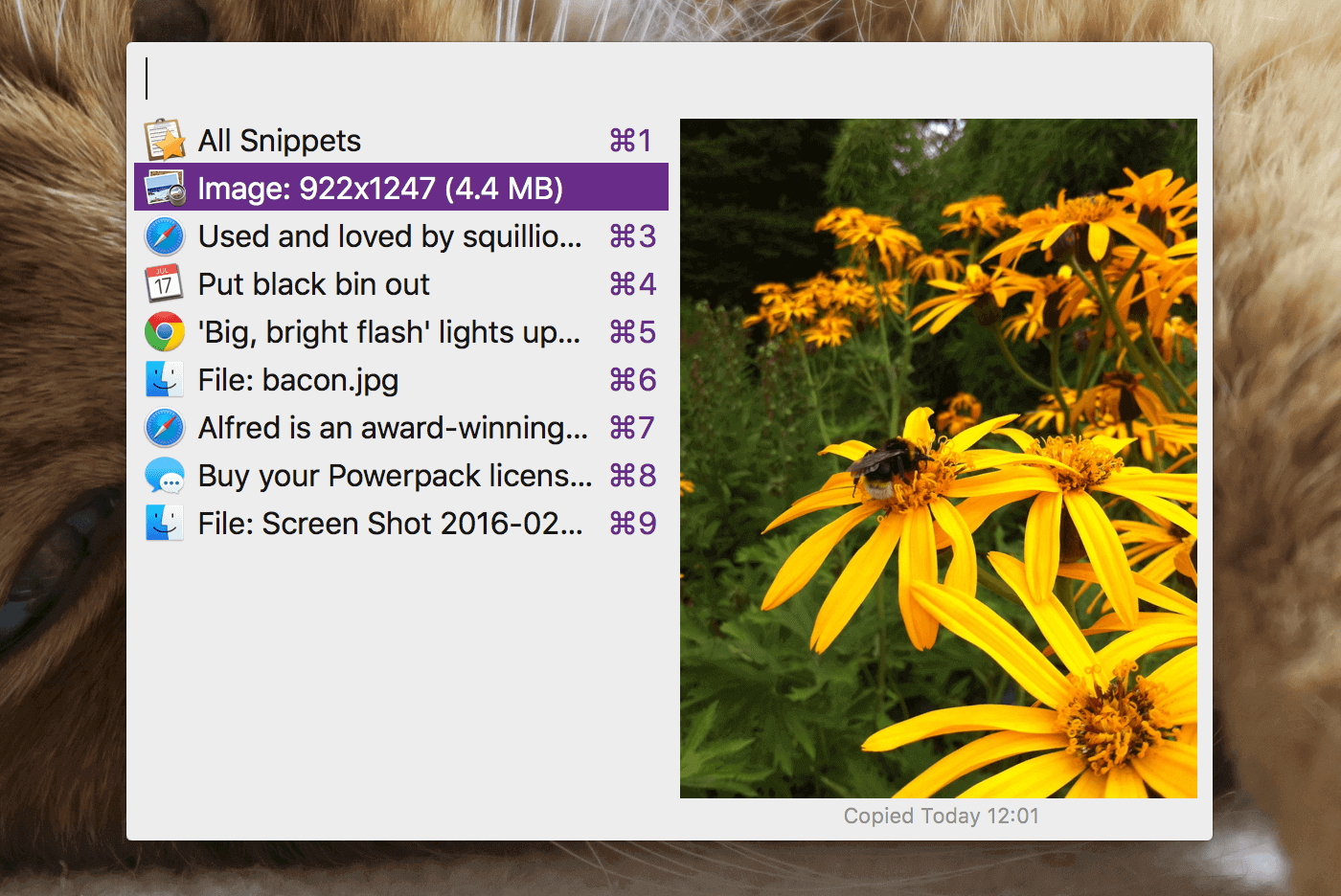 Alfred-Features-Clipboard-History-Examples.png