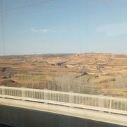 _小火车_的个人资料头像