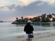 syrinx的个人资料头像