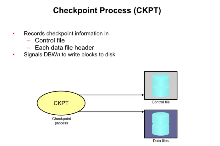 Checkpoint Process (CKPT)