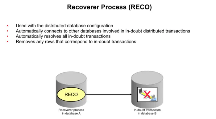 Recoverer Process (RECO)