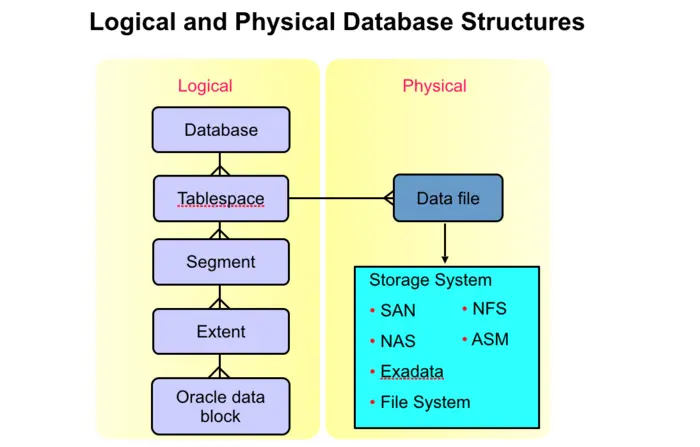 Logical and Physical Database Structures