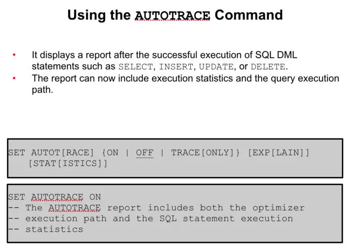 Using the AUTOTRACE Command