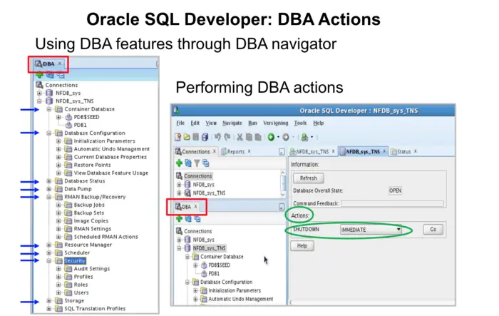 Oracle SQL Developer: DBA Actions