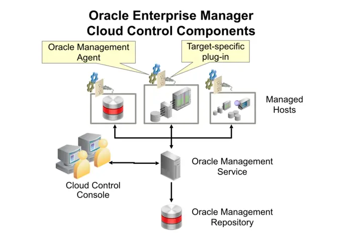 Oracle Enterprise Manager 
Cloud Control Components