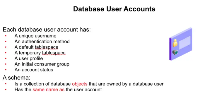 Database User Accounts