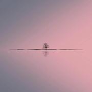 colaCode的个人资料头像