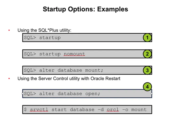Startup Options: Examples