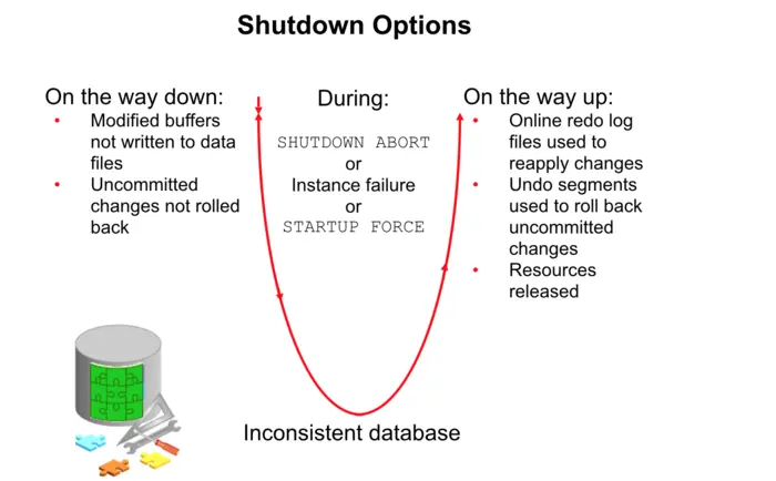 Shutdown Options