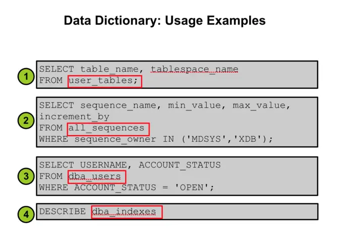 Data Dictionary: Usage Examples