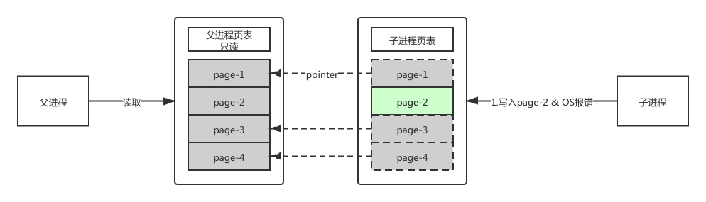 Fork之后,某一个进程写共享数据,开始写时复制